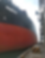 Untitled design (7).png